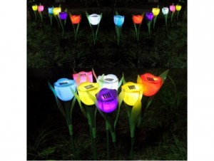 napelemes tulipán