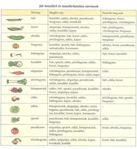 növénytársítások
