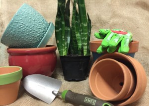 átültetés eszközei