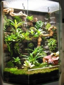 florarium2