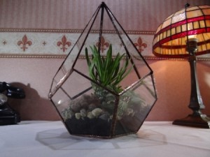florarium3